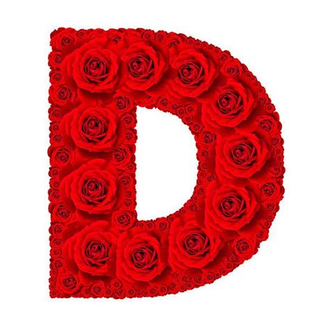 Buchstabe Letter D Rose Flower Wallpaper Monogram Alphabet