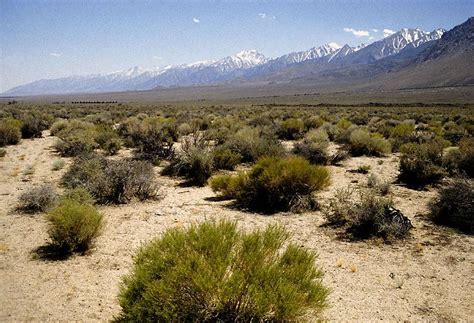 The Magnificent Eastern Escarpment Of The Sierra Nevada Photos