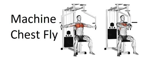 Machine Chest Fly A Complete Guide To Technique Benefits Alternatives And More For Chest