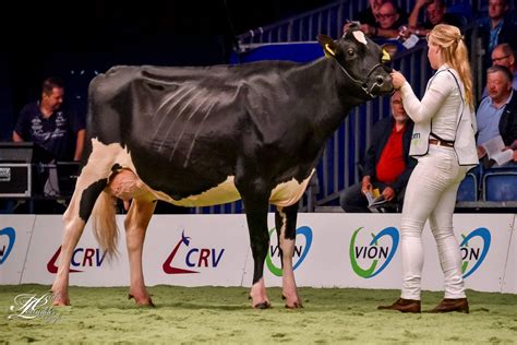 Bons-Holsteins has written history at the NRM 2017!