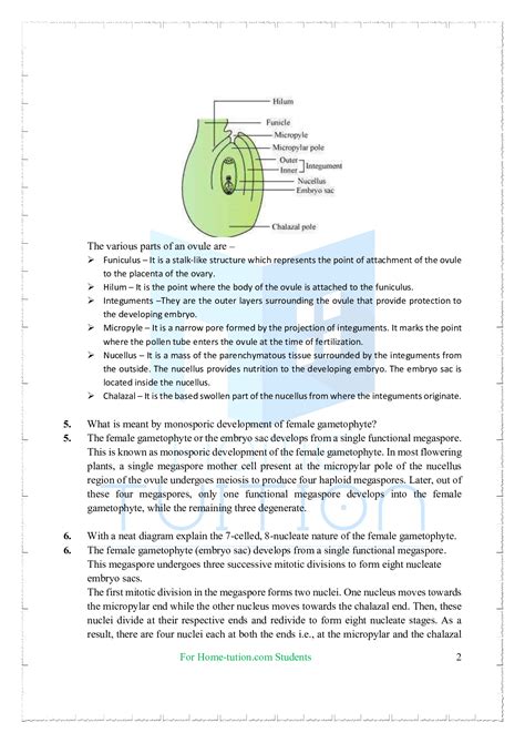 Ncert Solutions For Class 12 Biology Chapter 2 Sexual Reproduction In Flowering Plants