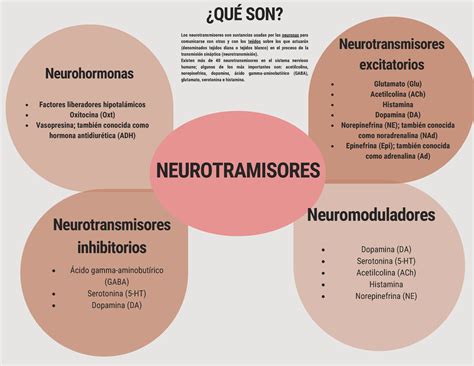 Neorufisiologia Universidad Mariano Galvez Son Los Neurotransmisores Son Sustancias Usadas