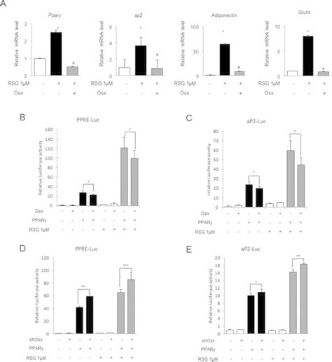 Osterix Represses Rosiglitazone Induced Adipogenesis A T L Cells