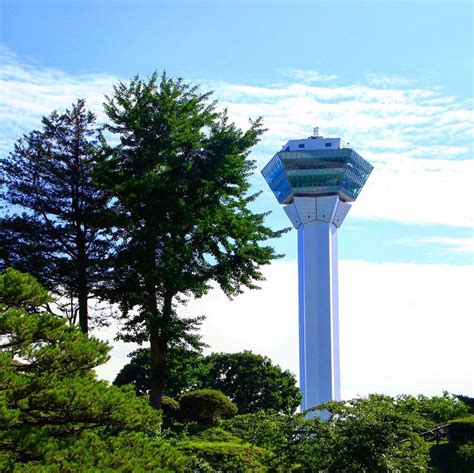 Goryokaku Park: A Star-Shaped Sakura Park That Was Once A Battle Fort