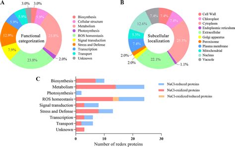 Functional Classification And Subcellular Localization Of The