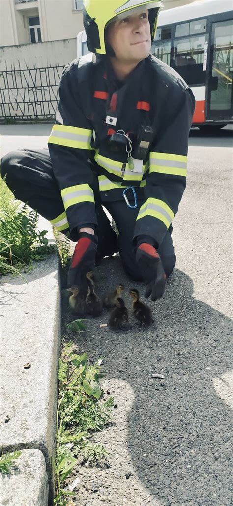 Hasi I Praha On Twitter Na N M St Bohumila Hrabala Jsme Zachr Nili