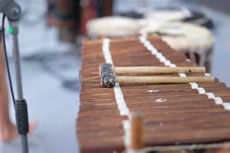 Balafon, a Percussion Musical Instrument Stock Photo - Image of ...