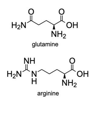 What type of interaction would you expect between the side chains of ...