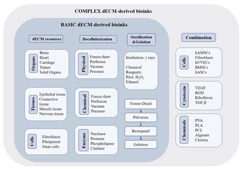 Gels Free Full Text Recent Advances In Decellularized Matrix