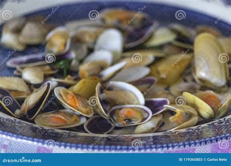 Prepared Cooked Dish of Edible Saltwater Clams, of the Species Donax ...