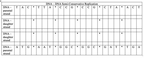 Solved First you will replicate the DNA sequence above. | Chegg.com