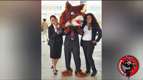 cemey salvame coyote cemey youtube