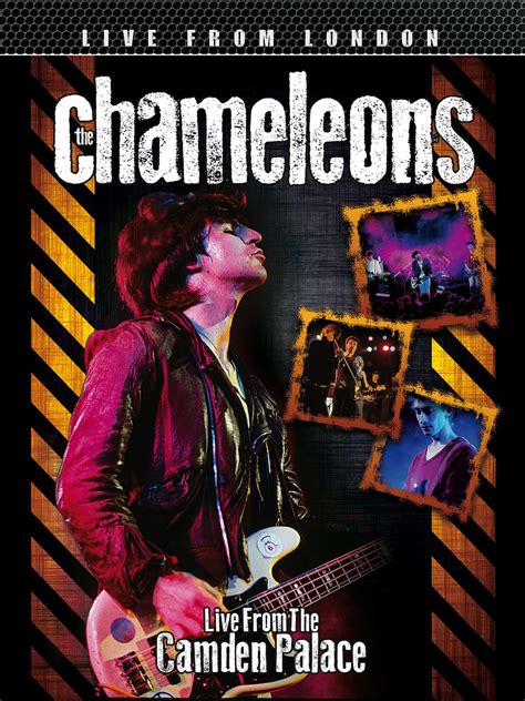 The Chameleons Live From London Watch Movies Tv Shows Microsoft