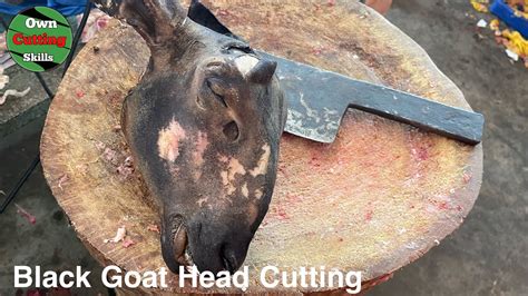 Black Goat Head Cutting Fresh Live Goat Head Cutting Skills Own Cutting Skills Goat Head