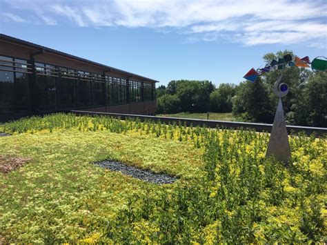 Liveroof Green Roof Systems Natural Function Natural Beauty