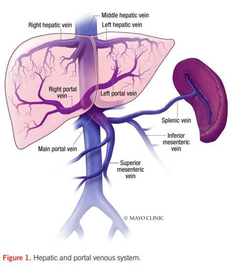 What Are Indications For Anticoagulation In A Patient With Chronic