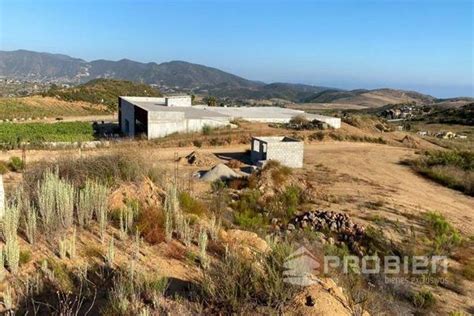 Terreno Habitacional En Valle De Guadalupe Ensen Propiedades