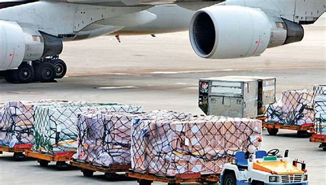 Growth In Global Air Cargo Markets Slows In November Iata Daily Ft