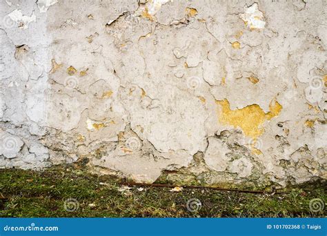 White plaster wall stock photo. Image of background - 101702368