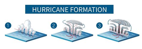 Free Vector | Stages of hurricane development explained