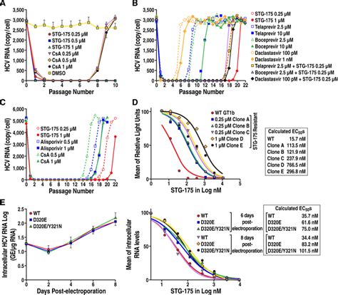 Replicon Clearance Replication Rebound And Resistance Analyses A