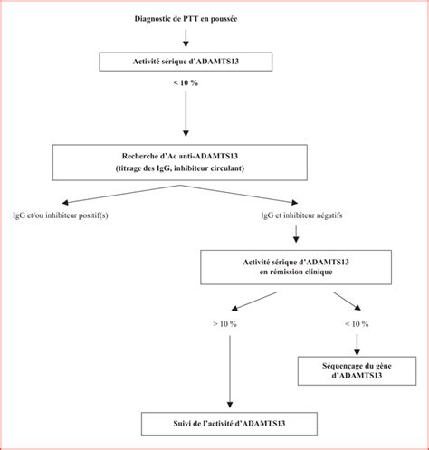 Microangiopathie Thrombotique Ecn