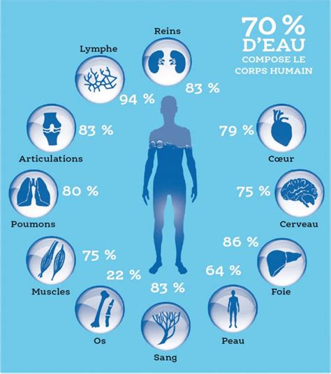 Leau Introduction Ditions Universitaires Davignon