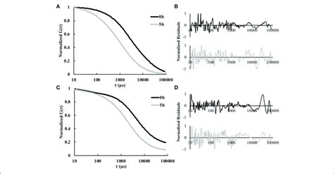 Representative Normalized Autocorrelation Curves 0 And 5 H For Download Scientific Diagram