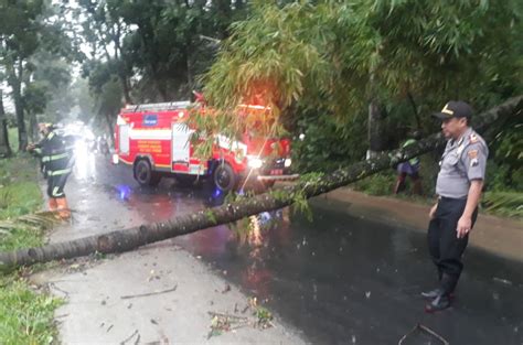 Berita Magelang Angin Kencang Kembali Terjang Wilayah Pakis