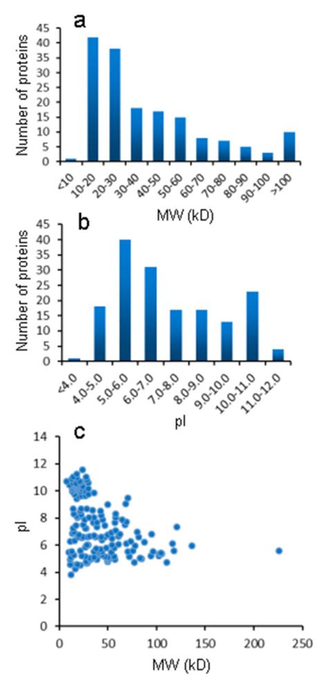 Toxins Free Full Text Pull Down Assay Guided Insights Into The