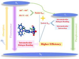 The Mechanism Of Intramolecular Halogen Bonding Enhanced The Quantum