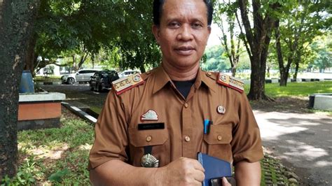 Pemkab Barru Siapkan 15 000 Bibit Cabai Dukung Gerakan ASN Menanam