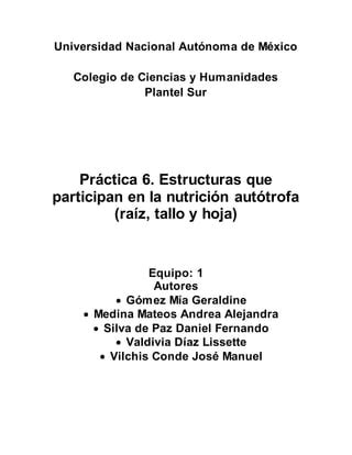 Informe De Pr Ctica Pdf Descarga Gratuita