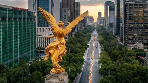 Paseo De La Reforma Datos Curiosos De Esta Importante Avenida En CDMX