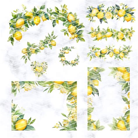 Watercolor Lemon Frames Png Lemon Clipart Bundle Watercolor Lemons