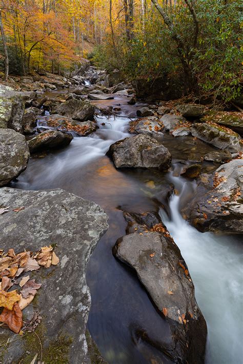 Another Vertical Of The Upper Tallulah River Bear Woods Happenings