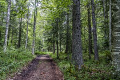 Vom Val De Travers Nach La Br Vine Wanderung Ins Sibirien Der Schweiz