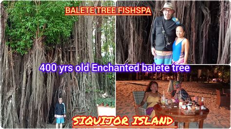 Enchanted Old Balete Tree Siquijor Island Also Fish Spa Read The