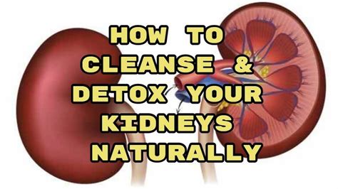 How To Cleanse And Detox Your Kidneys Naturally Reversing Your Kidney