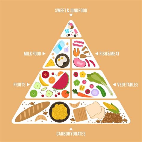 Free Vector | Food pyramid template