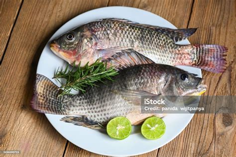 Ikan Nila Dengan Piring Putih Dengan Jeruk Nipis Rosemary Di Latar