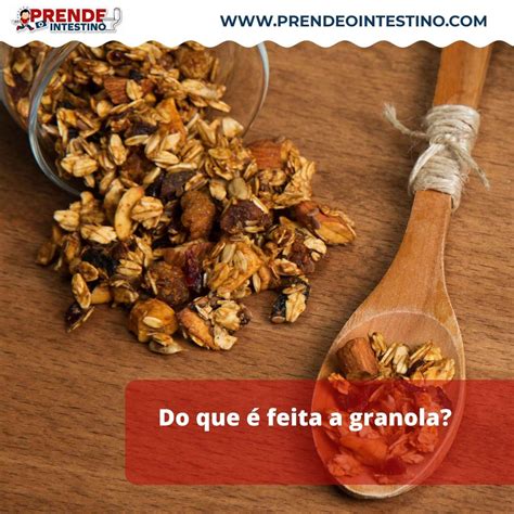 A Granola Prende O Intestino Conhe A Seus Benef Cios