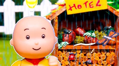 Caillou Y El Hotel De Insectos Caillou En Espa Ol Castellano Youtube