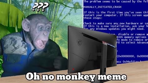 Oh No Monkey Meme Youtube