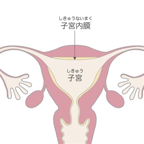 子宮がん（子宮頸がん、子宮体がん）ステージ4は治る？ ステージ別治療法と生存率