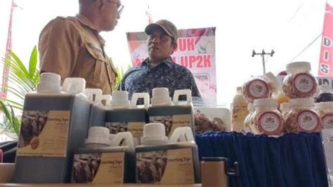 Cara Mengolah Kotoran Sapi Jadi Pupuk Organik Bisa Buat Tanaman Subur