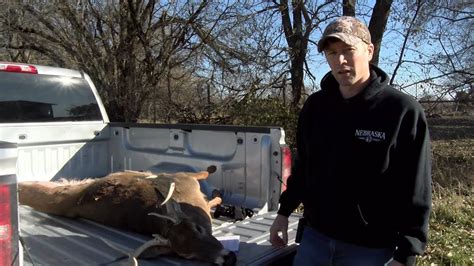 How To Remove Lymph Nodes For Cwd Testing Youtube