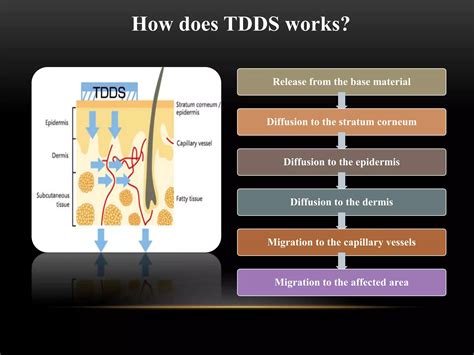 Drug Delivery System Tdds Pptx