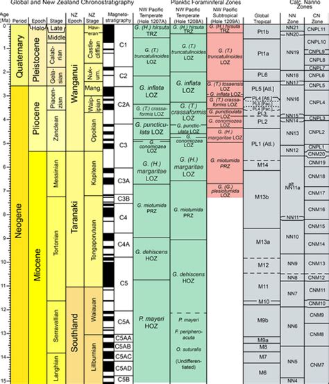 Biostratigraphy | PLOS ONE