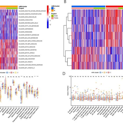 Characteristics Of M6A Modification Patterns In Tumor Somatic Mutation